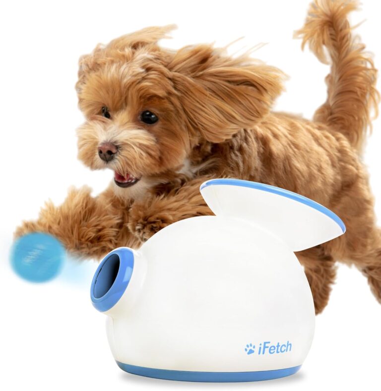 iFetch vs iFetch Too: Which Automatic Ball Launcher for Dogs Should You ...